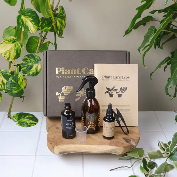 Plant Care Kit - Le coffret entretien pour que tes plantes t'aiment aussi